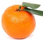 апельсин — Вікісловник